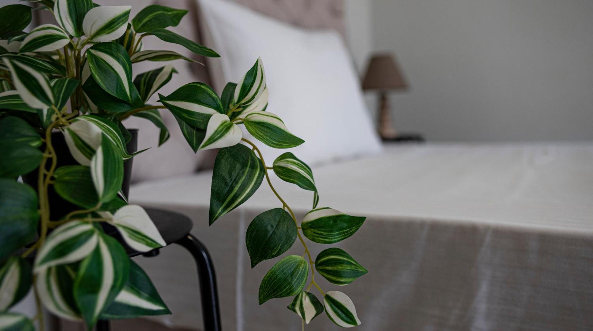 Nikitas Apartments & Suites Канали Екстериор снимка